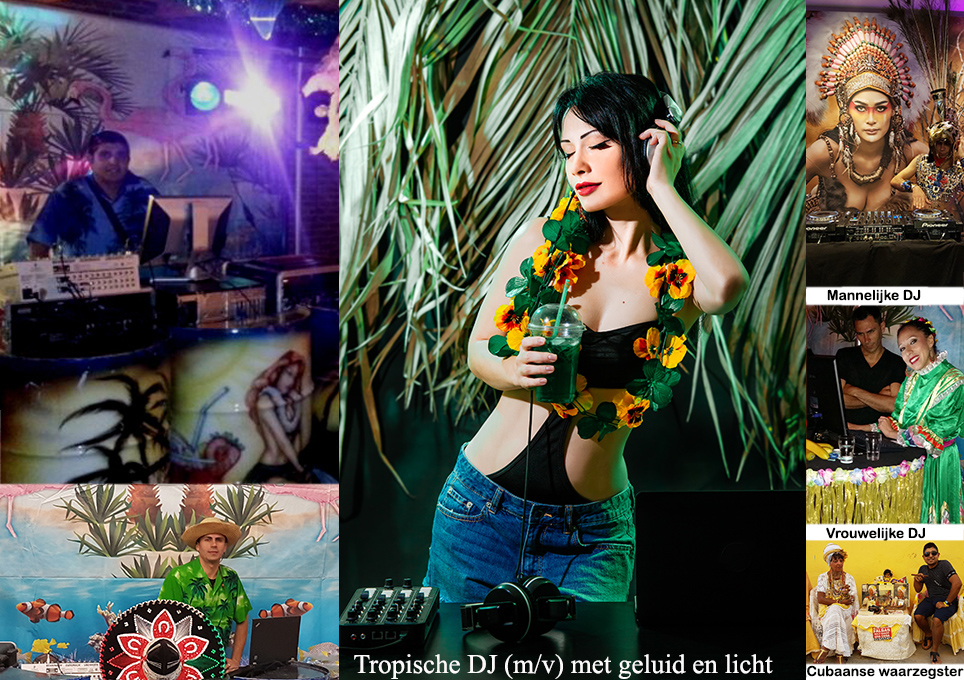 Hawaiiaanse partyleaves en Tiki bar en Grasrokken decor