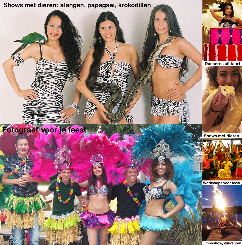 Samba danseressen